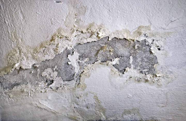 Analyse humidité murs à Pau