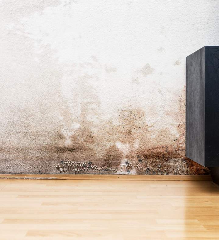 Infiltration d'eau Pau